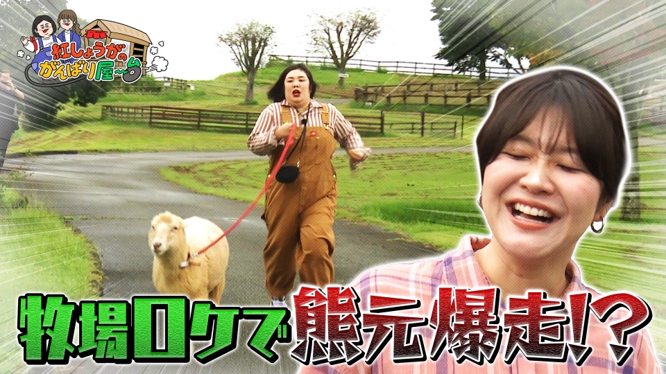 ep0omoxly2.jpg?v=5