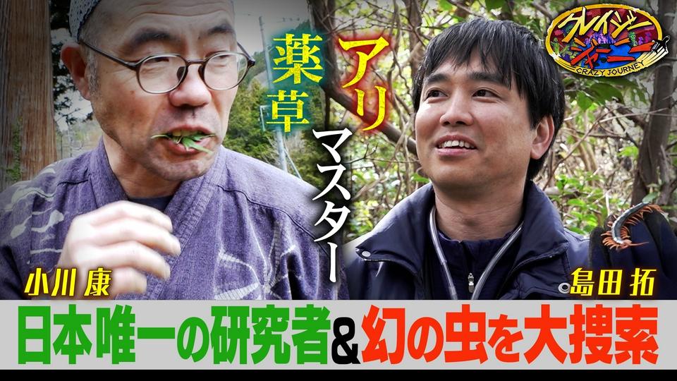 ①〜⑥ クレイジージャーニー　vol１〜６ クレイジージャーニー 6月1日(月)放送分 薬草を愛しすぎる日本唯一の