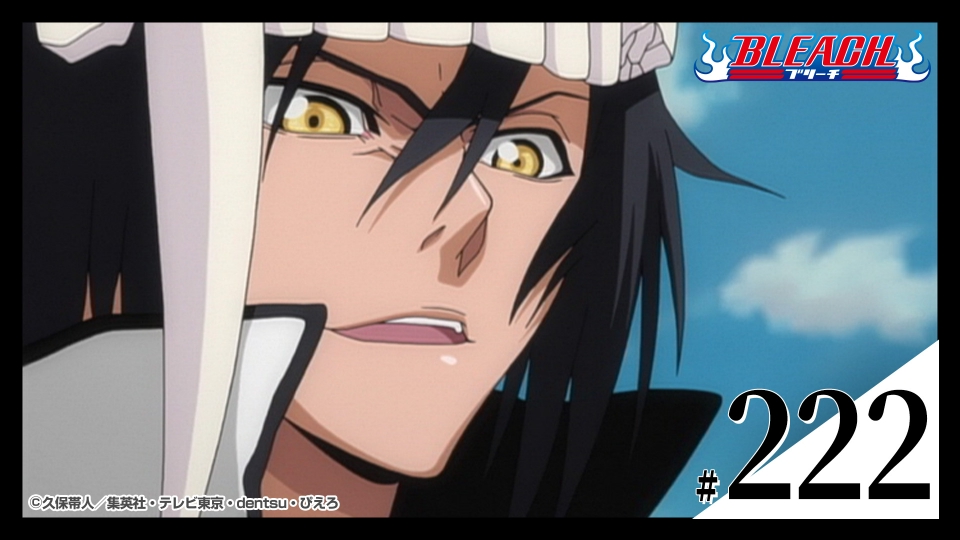 BLEACH 2009年放送 第222話 最凶タッグ!? 砕蜂&大前田｜アニメ