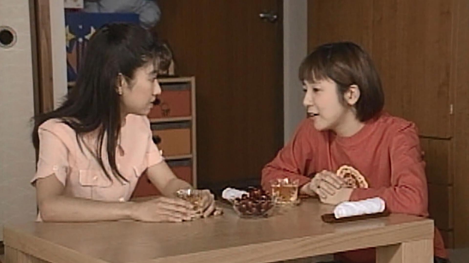 渡る世間は鬼ばかり 第4シリーズ(橋田壽賀子ドラマ) 1999年放送