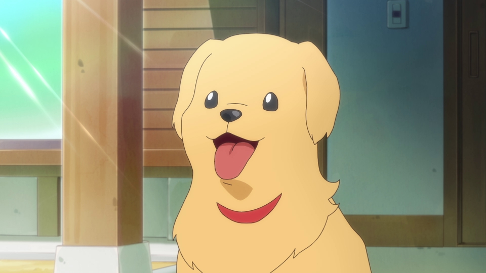 第28話　わんわん！きゅーちゃんと一緒！ thumbnail