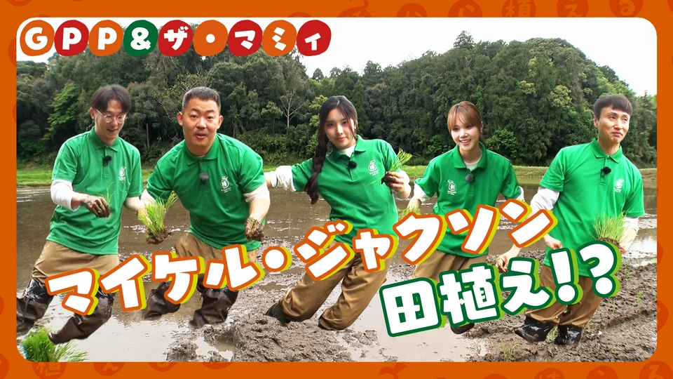 種から植えるTV 5月24日(日)放送分 第211回 GPP＆ザ・マミィが田植えに