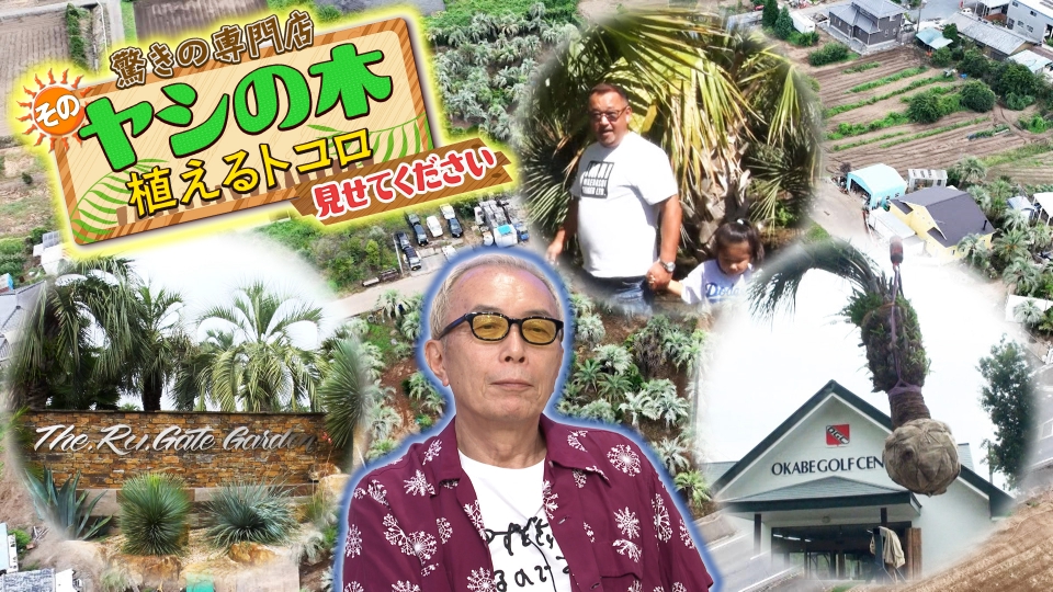 所さんの学校では教えてくれないそこんトコロ！ 9月27日(金)放送