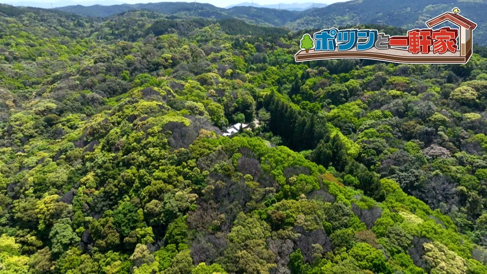 ポツンと一軒家 6月15日(日)放送分 ご主人亡き後も、山奥にひっそりと