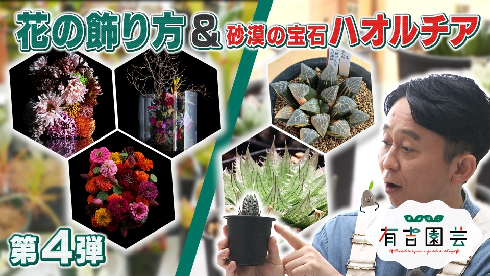 夢が咲く 有吉園芸～Road to open a garden shop～ 6月22日(土