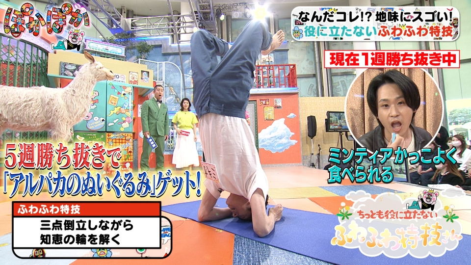 ぽかぽか 5月31日(水)放送分 水曜（2）ふわふわ特技☆王者勝ち抜きなる