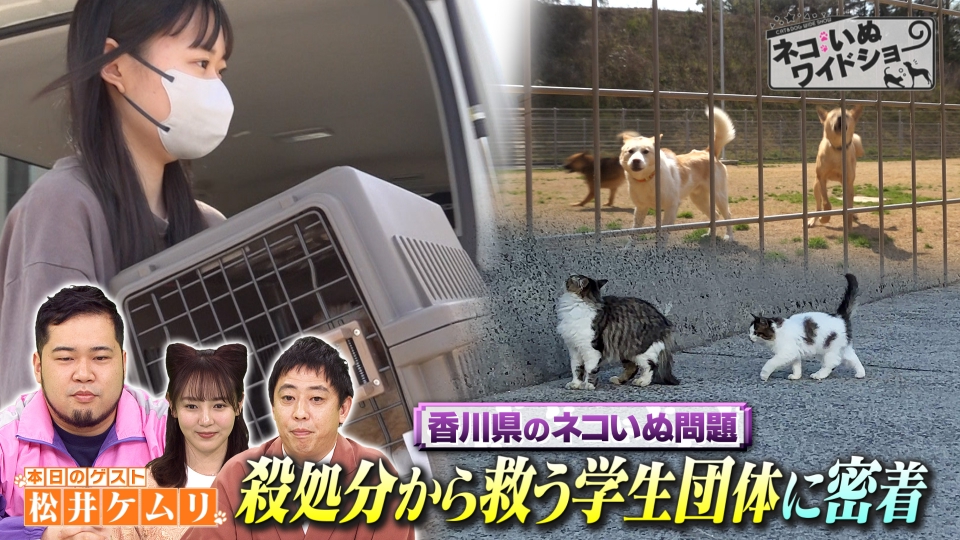 伝説の倒産株    ムービーテレビジョン Amazon.co.jp: 巨匠ジョン・フォード大全集 DVD10枚組 BCP-064