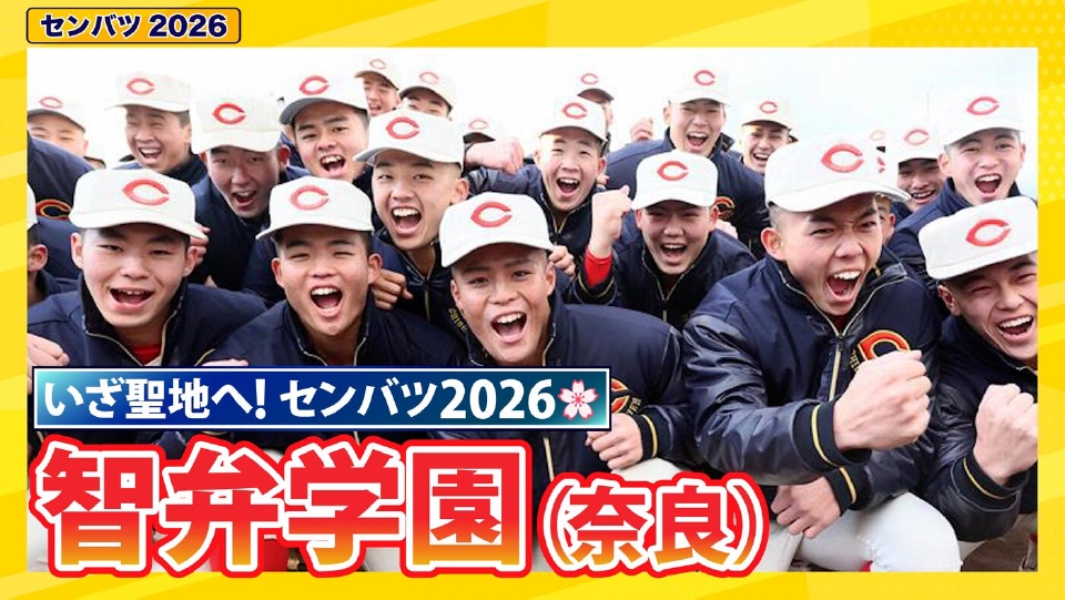 阪神甲子園球場公式オンラインショップ 第98回選抜高校野球大会 準優勝