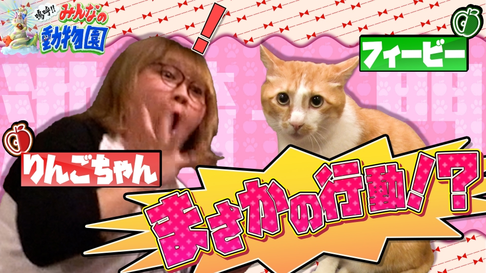 嗚呼!!みんなの動物園 6月22日(土)放送分 りんごちゃん家のフィービー