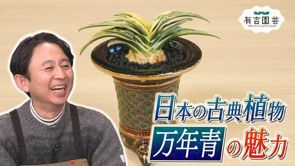 夢が咲く 有吉園芸～Road to start a garden shop～ 3月18日(火)放送分