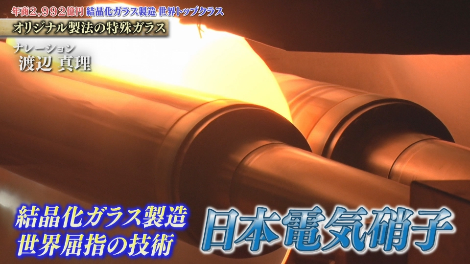 知られざるガリバー～エクセレントカンパニーファイル～ 6月21日