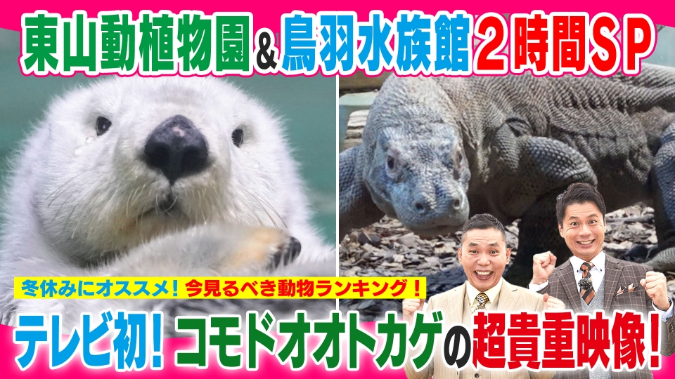 太田×石井のデララバ 12月18日(水)放送分 東山動植物園＆鳥羽