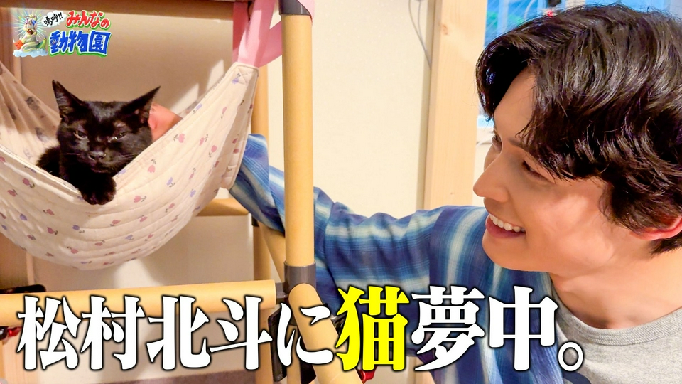 池崎一門!激かわ兄妹猫&SixTONES松村北斗参戦SP thumbnail