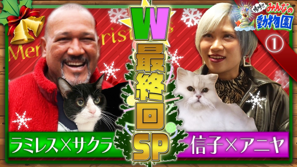 嗚呼!!みんなの動物園 12月23日(土)放送分 (1) 池崎一門サクラ&アニヤ