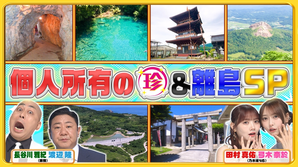 ナニコレ珍百景 8月24日(日)放送分 三重塔や鍾乳洞も!?個人所有の