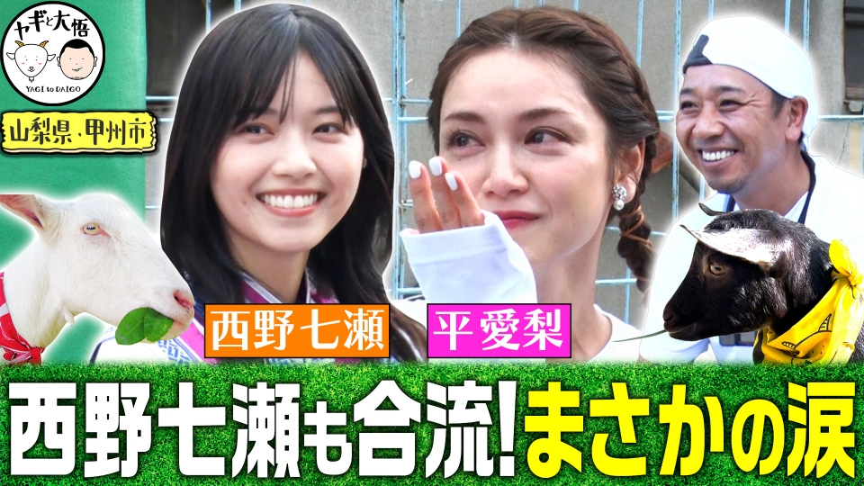 ☆☆坊ちゃん１１☆日本一入賞獲得☆東西大関兄弟魚当歳♂☆№２