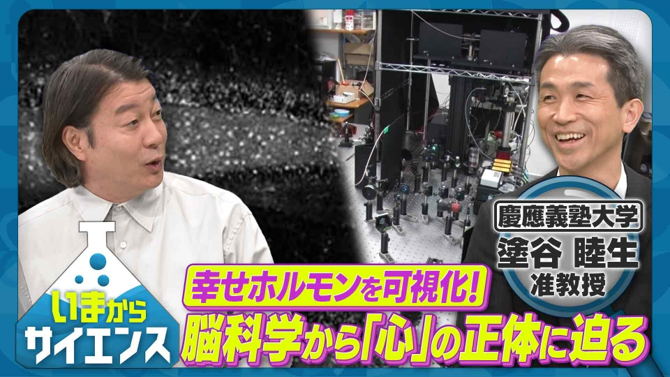 邪気を祓い幸せ体質　幸せホルモン全開 81fZYNNcFzL._UF350,350_QL50_.jpg