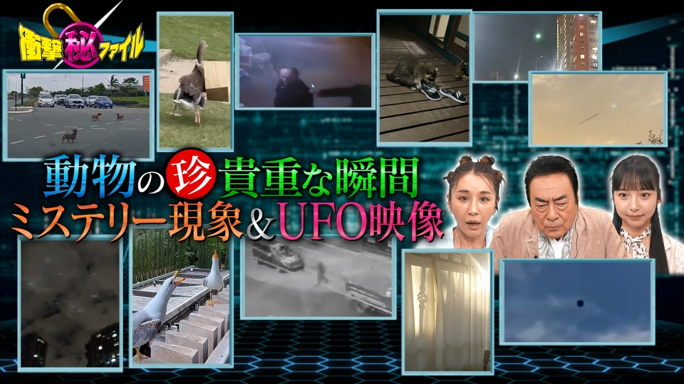世界が騒然！本当にあった(秘)衝撃ファイル 8月19日(火)放送分 衝撃映像｜バラエティ｜見逃し無料配信はTVer！人気の動画見放題