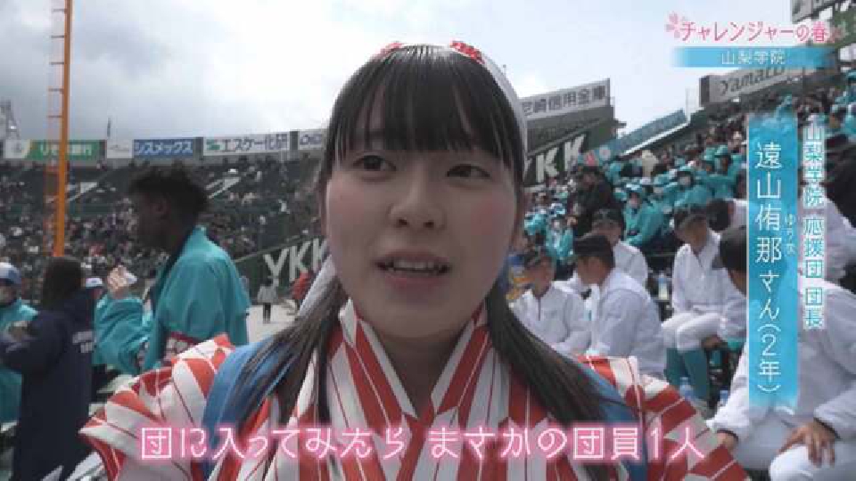 みんなの甲子園 2012 DVD みんなの甲子園2012 ?第84回選抜高等学校野球大会全記録? DVD