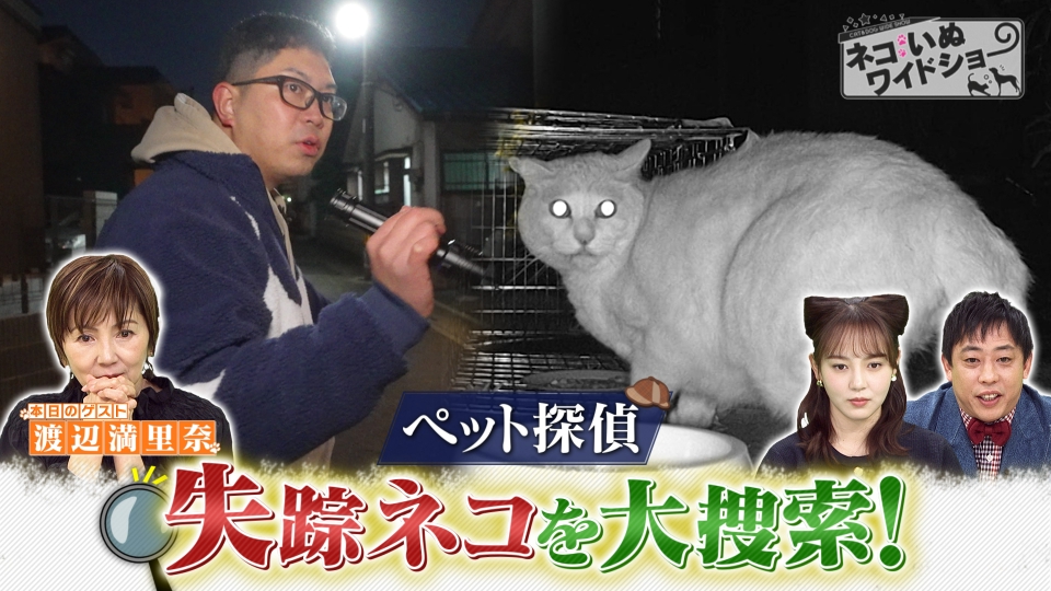 ネコいぬワイドショー 4月4日(金)放送分 ＃121 ゲスト：渡辺満里奈