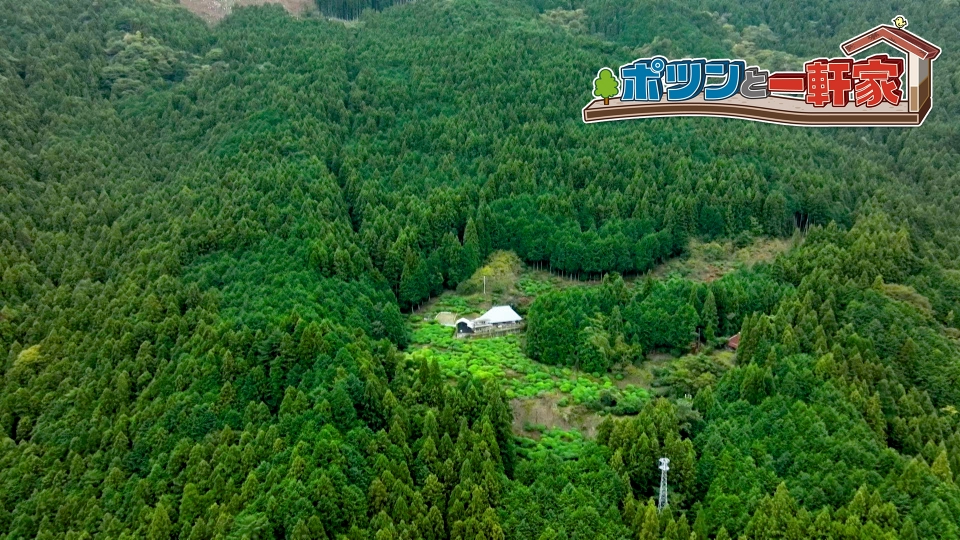 【大型　5樹石付き盆栽】　　　　　⭕深岩山にポツンと一軒家❗ ポツンと一軒家 1月26日(日)放送分 徳島の深い山奥、笑顔で迎えてくれ