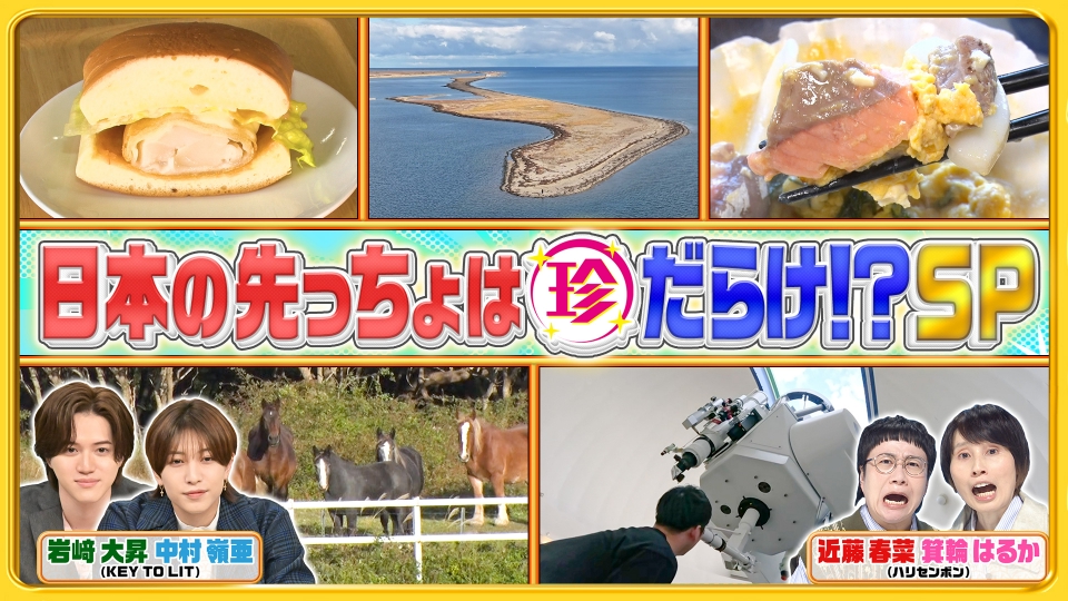 ナニコレ珍百景 11月16日(日)放送分 新企画「日本の先っちょを大調査