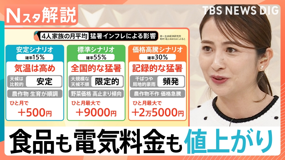 TBS NEWS DIG Powered by JNN 8月29日(金)放送分 食品も電気料金