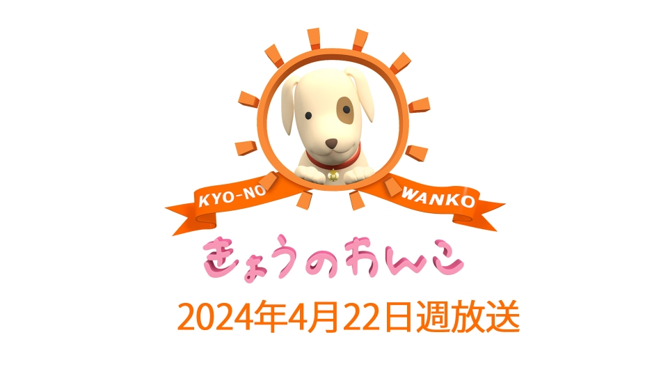 きょうのわんこ 2024/4/22週放送 ｜バラエティ｜見逃し無料配信