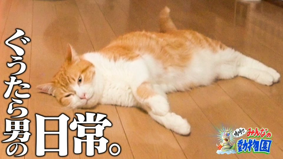 みりちゃむ流スゴい猫テク連発&相葉トリミング×有村架純 thumbnail