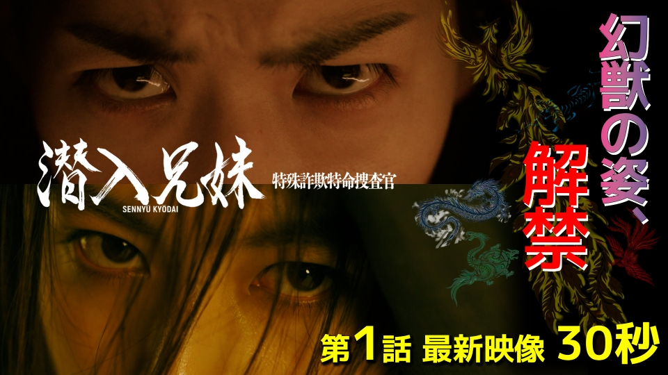 潜入兄妹 特殊詐欺特命捜査官 Blu-ray BOX〈6枚組〉 潜入兄妹 特殊詐欺特命捜査官」Blu-ray＆DVD BOX 2025年6月4日