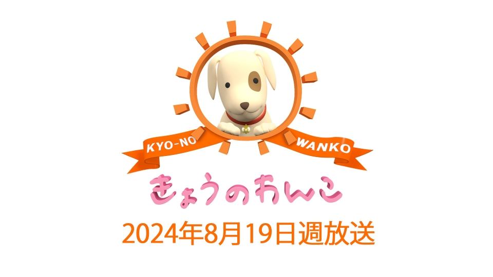 きょうのわんこ 2024/8/19週放送 ｜バラエティ｜見逃し無料配信はTVer
