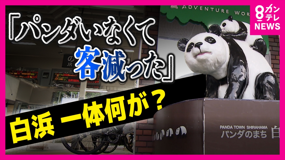 newsランナー 8月20日(水)放送分 パンダなき白浜を襲う“パンダ