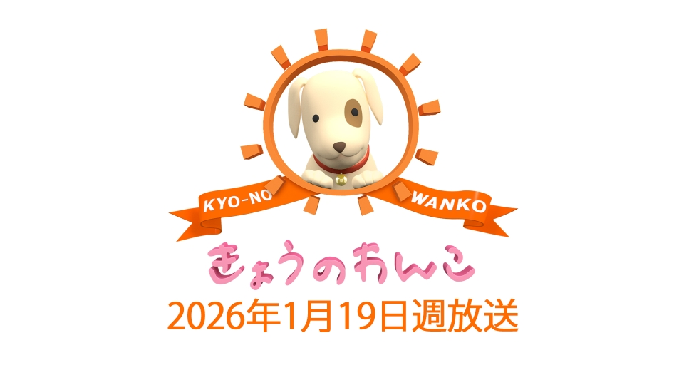 きょうのわんこ 2026/01/19週放送 2026/01/19週放送 きょうのわんこ