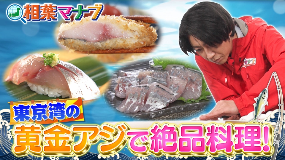 相葉マナブ 6月2日(日)放送分 釣りたての黄金アジを食べたい