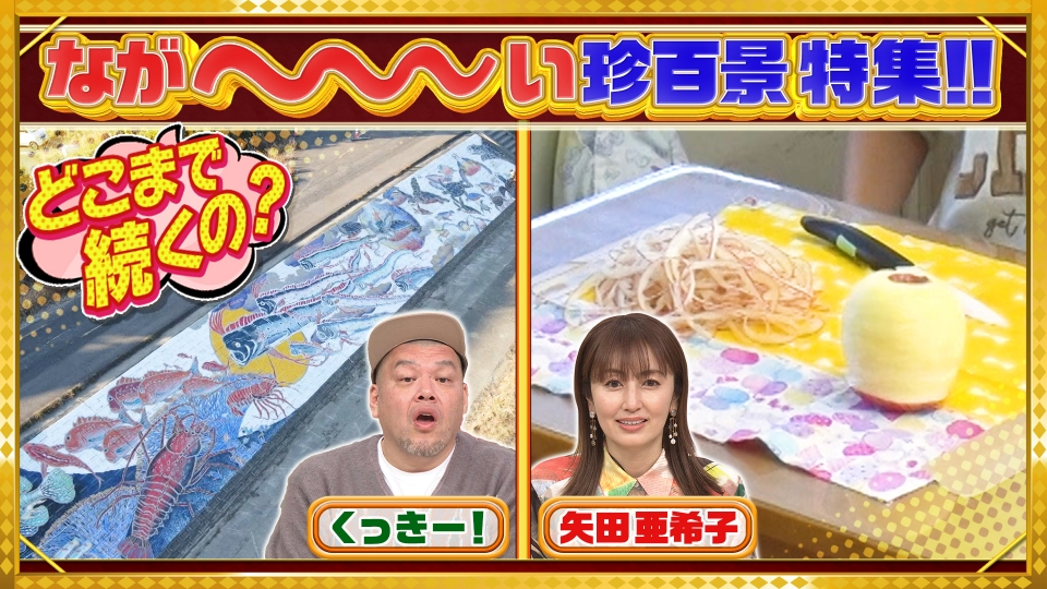 ナニコレ珍百景 3月17日(日)放送分 どこまで続く!?大分の海になが～い