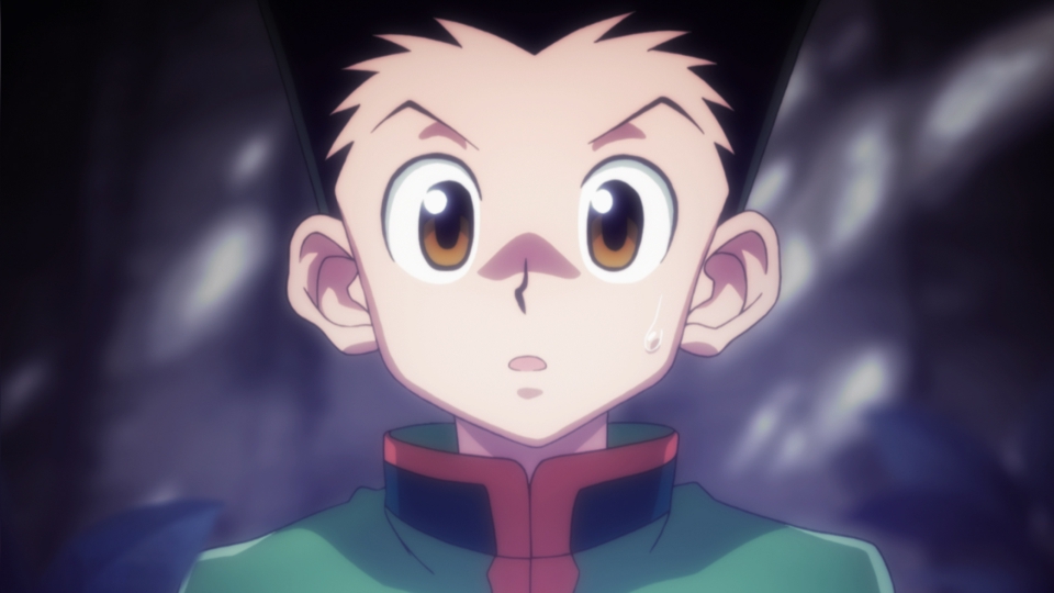 HUNTER×HUNTER 2012年放送 第14話 ターゲット×ニ×ヒット｜アニメ
