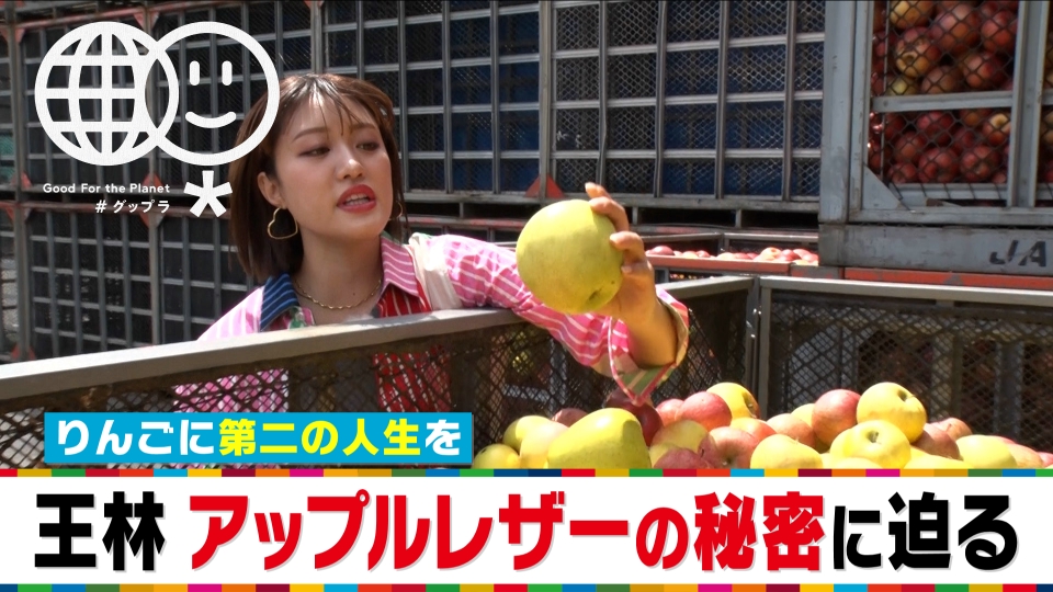 ZIP! 6月2日(金)放送分 ZIP!グップラ特集 リンゴの廃棄物から作る