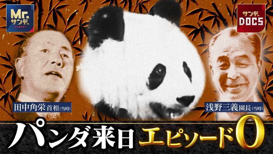 Mr.サンデーDOCS 1月25日(日)放送分 パンダ来日エピソード0 上野動物園