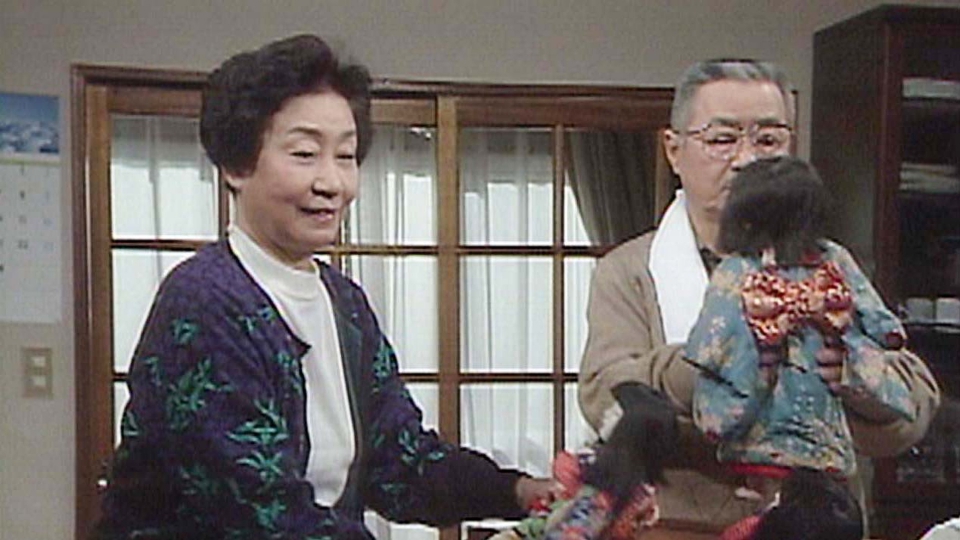 渡る世間は鬼ばかり 第1シリーズ(橋田壽賀子ドラマ) 1991年放送