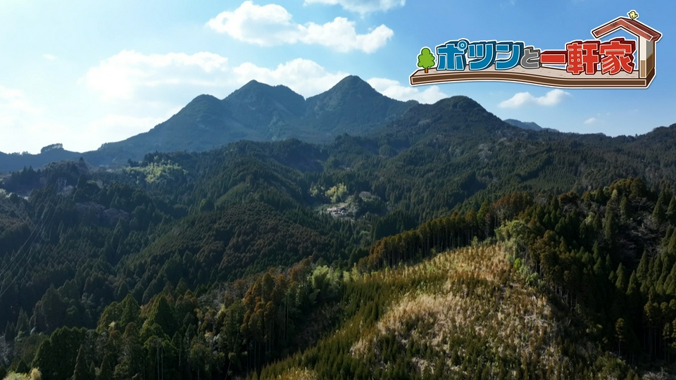 ポツンと一軒家 4月26日(日)放送分 先代から続く山を守りながら、杉の