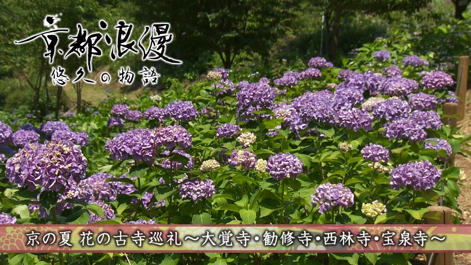 蓮香　8月1日予定分 鬼滅の刃のシャッター広告が渋谷に登場！ | TikTok