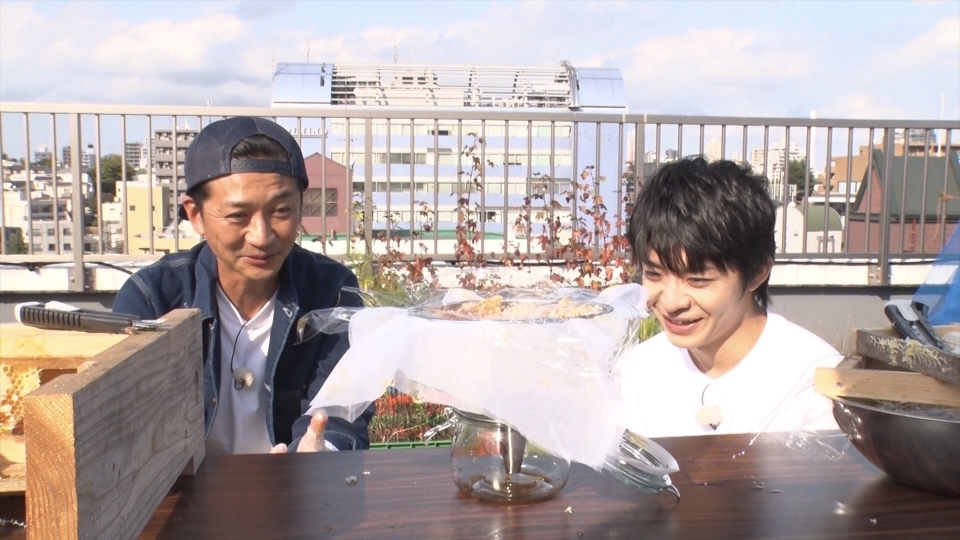 ザ 鉄腕 Dash 1月22日 日 放送分 新宿ビル屋上でパンケーキを ハチミツ計画完結編 バラエティ 見逃し無料配信はtver 人気の動画見放題