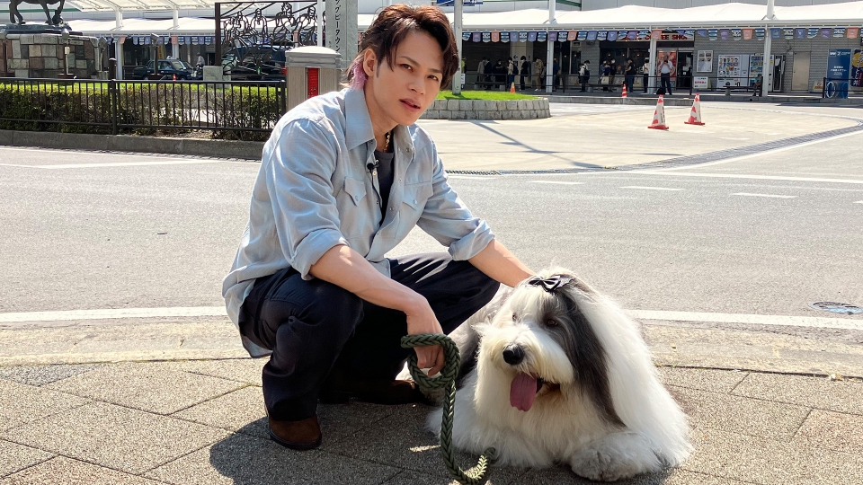 1億人の大質問 笑ってコラえて 11月2日 水 放送分 Kat Tun上田竜也が超能力犬 と行き当たりばったり散歩旅 バラエティ 見逃し無料配信はtver 人気の動画見放題