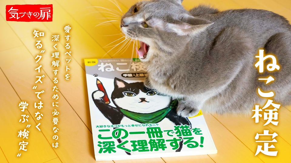 ねこさま＊確認ページです 気づきの扉 6月26日(金)放送分 ねこ検定｜報道／ドキュメンタリー