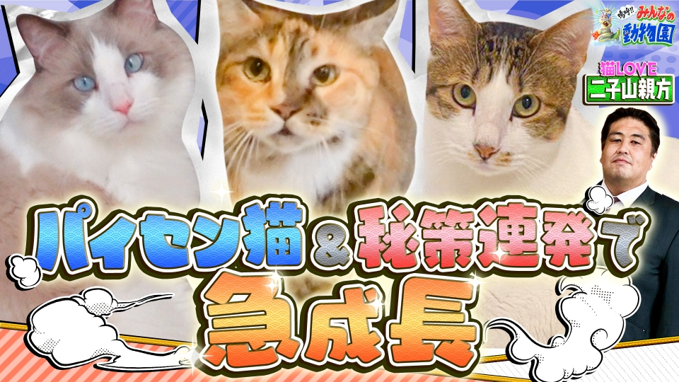 嗚呼!!みんなの動物園 12月21日(土)放送分 超猫LOVE二子山親方が