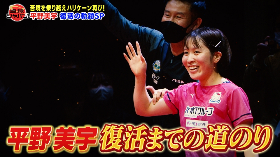 長野県タイプＡ、遠野城、春日城、藤沢城、イベント限定 長野県タイプA、遠野城、春日城、藤沢城、イベント限定 長野県