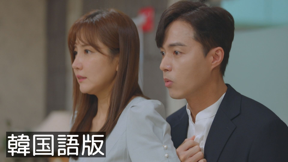 韓国ドラマ ヒョンジェは美しい ボクが結婚する理由 DVD 1~36全巻セット ヒョンジェは美しい～ボクが結婚する理由(わけ)～ DVD-BOX1