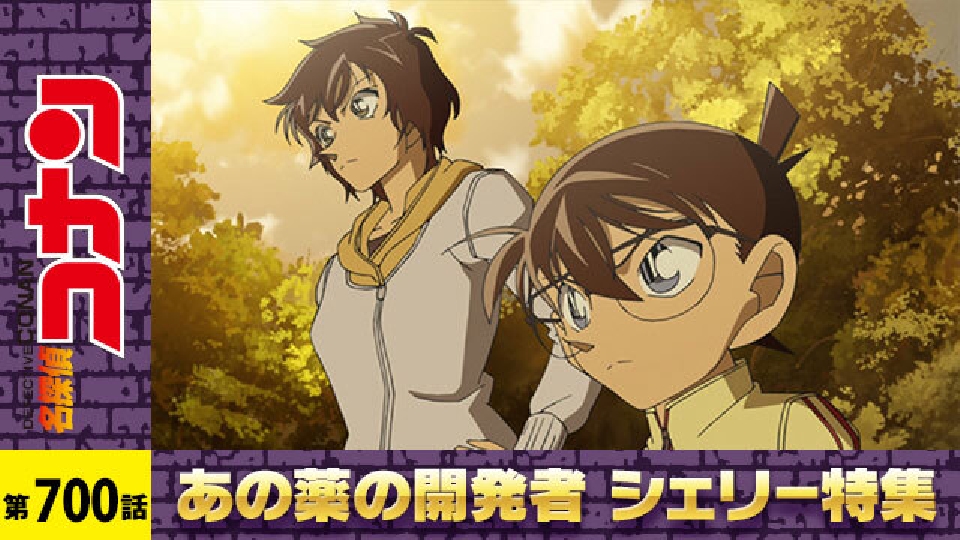 名探偵コナン 2013年放送 灰原の秘密に迫る影（後編）｜アニメ