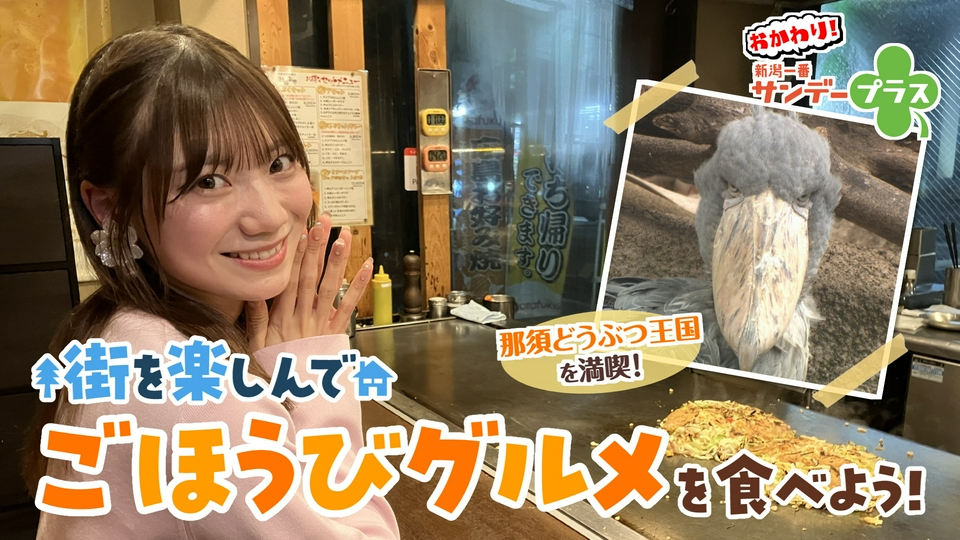 おかわり！新潟一番サンデープラス 4月12日(日)放送分 街を楽しんでご