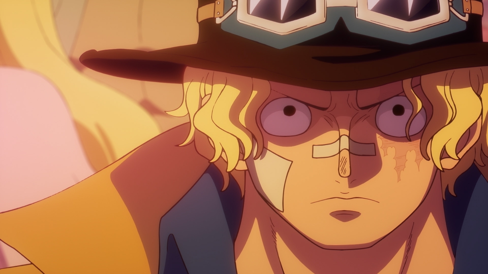 Dr.チョッパーの冒険カルテ ～天才が遺した“最後の世界配信”～ thumbnail